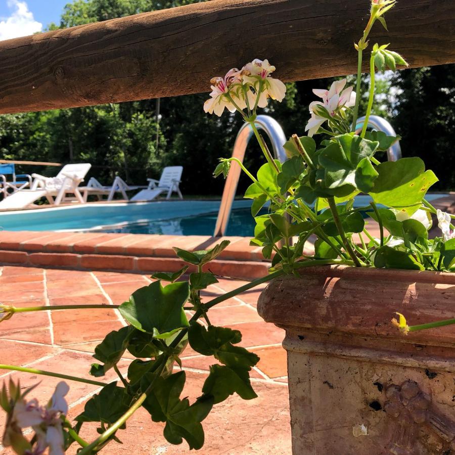 Villa Magda Тоди Экстерьер фото